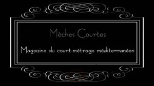 Logo Meches courtes